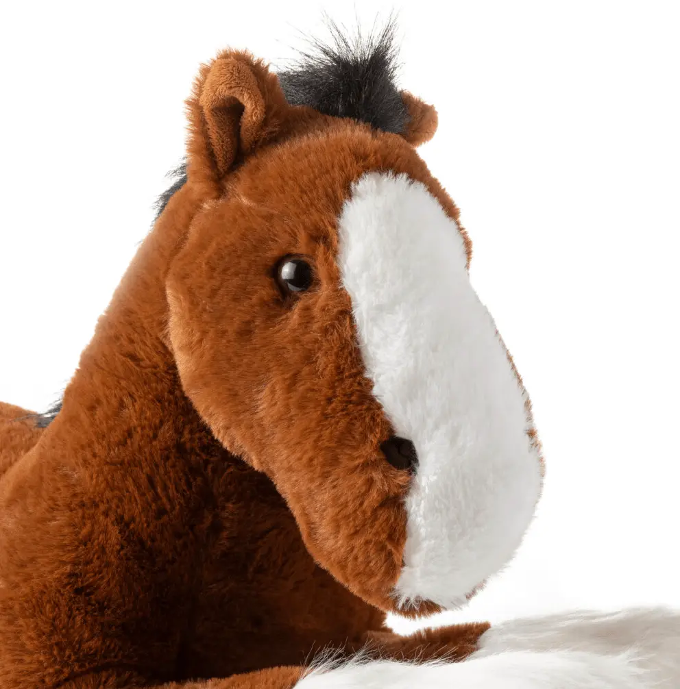 Duke the Clydesdale Horse - Image 4
