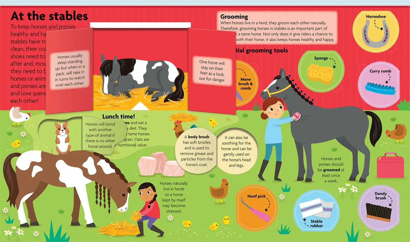 All About Horses & Ponies: Lift-the-Flap Book - Image 4