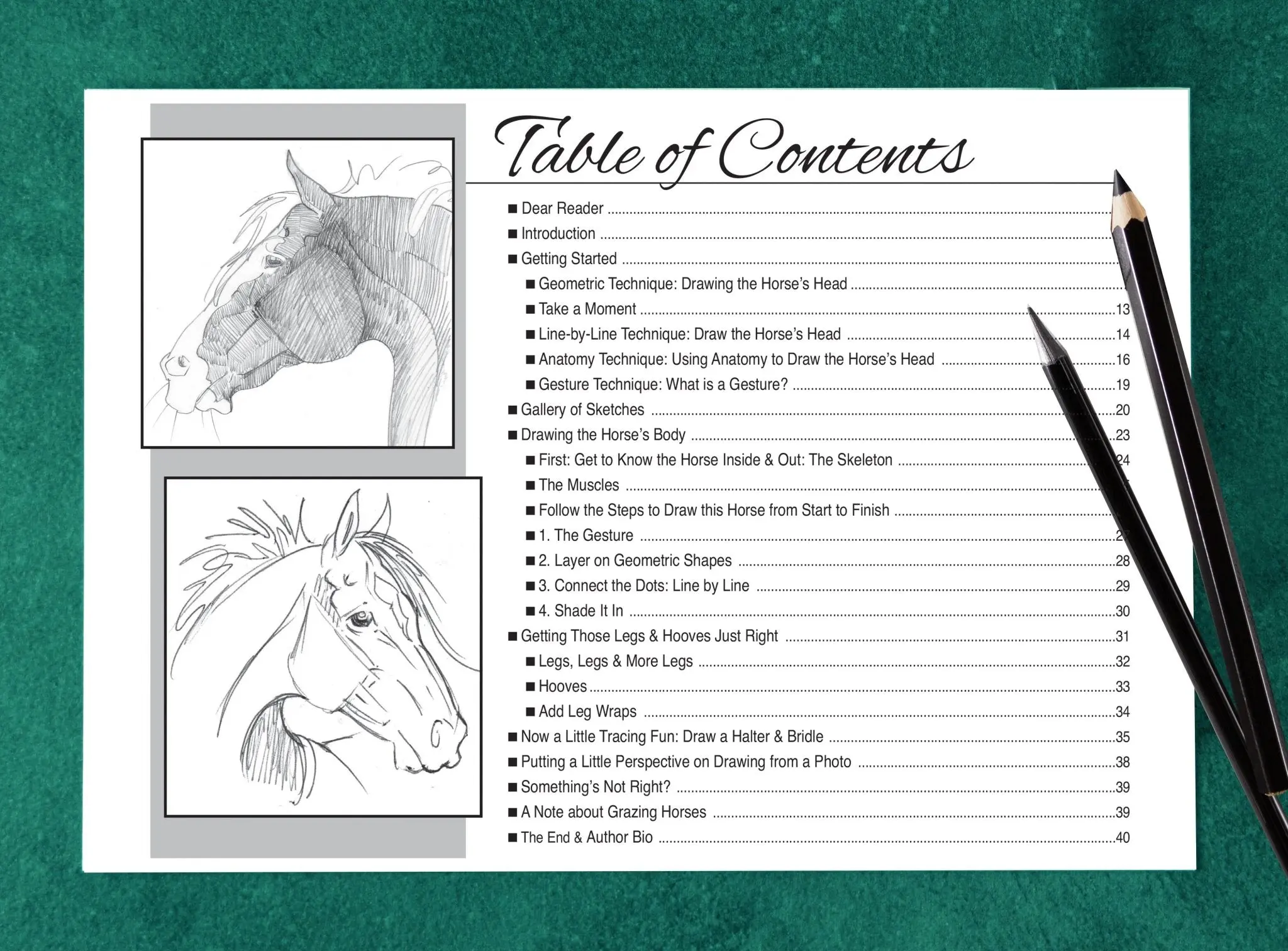 Anyone Can Draw Horses Art Kit - Image 10