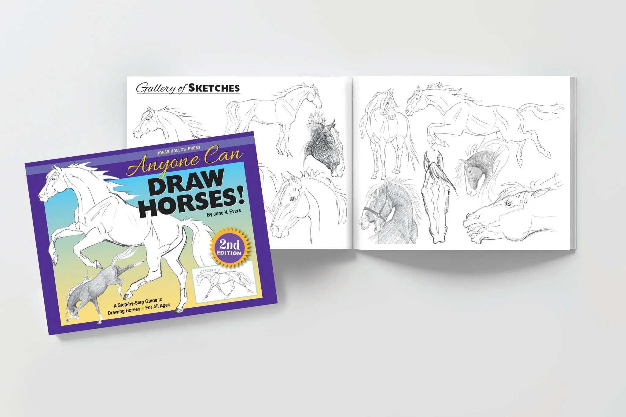 Anyone Can Draw Horses Art Kit - Image 11