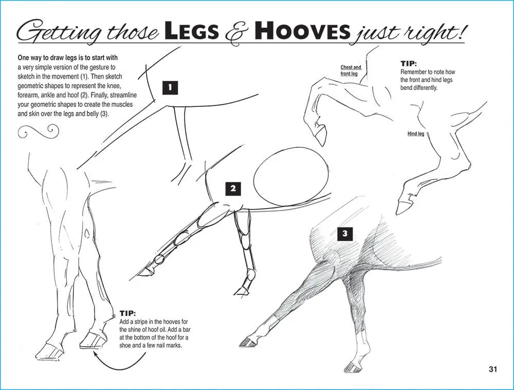 Anyone Can Draw Horses Art Kit - Image 12