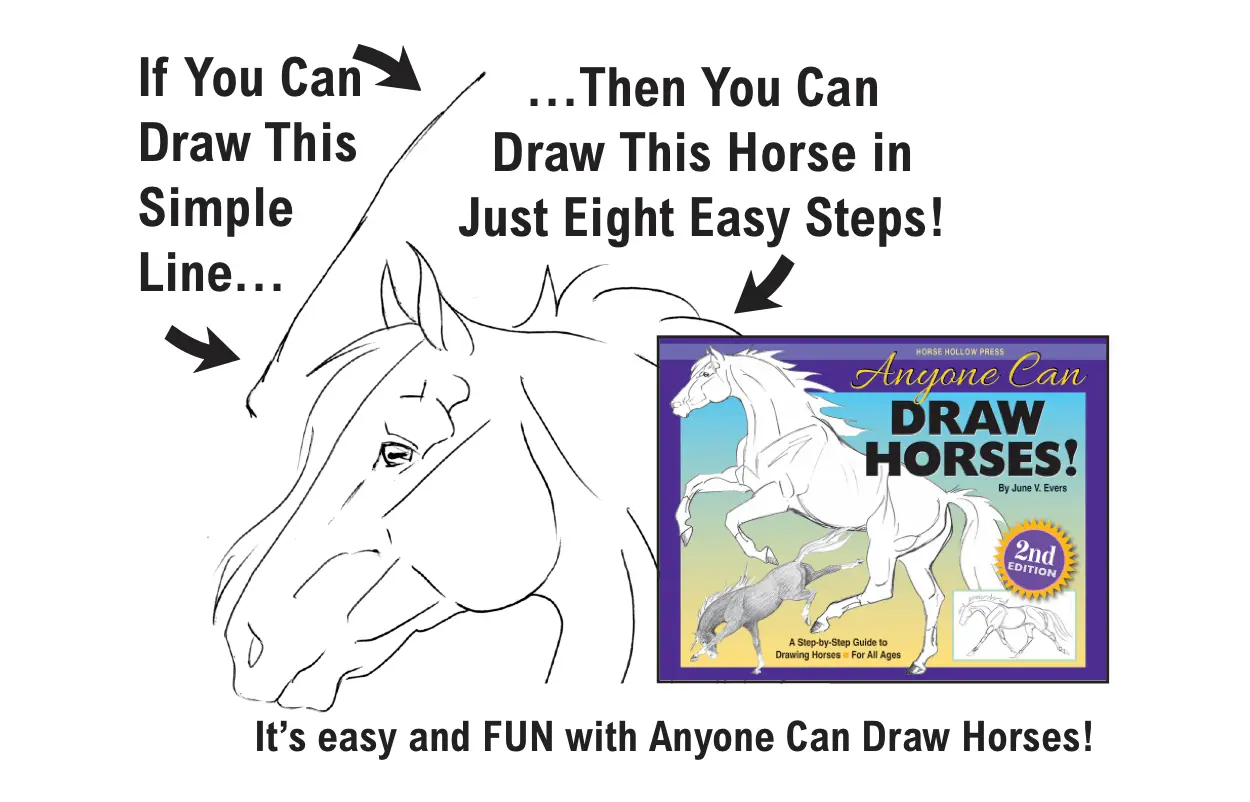 Anyone Can Draw Horses Art Kit - Image 6