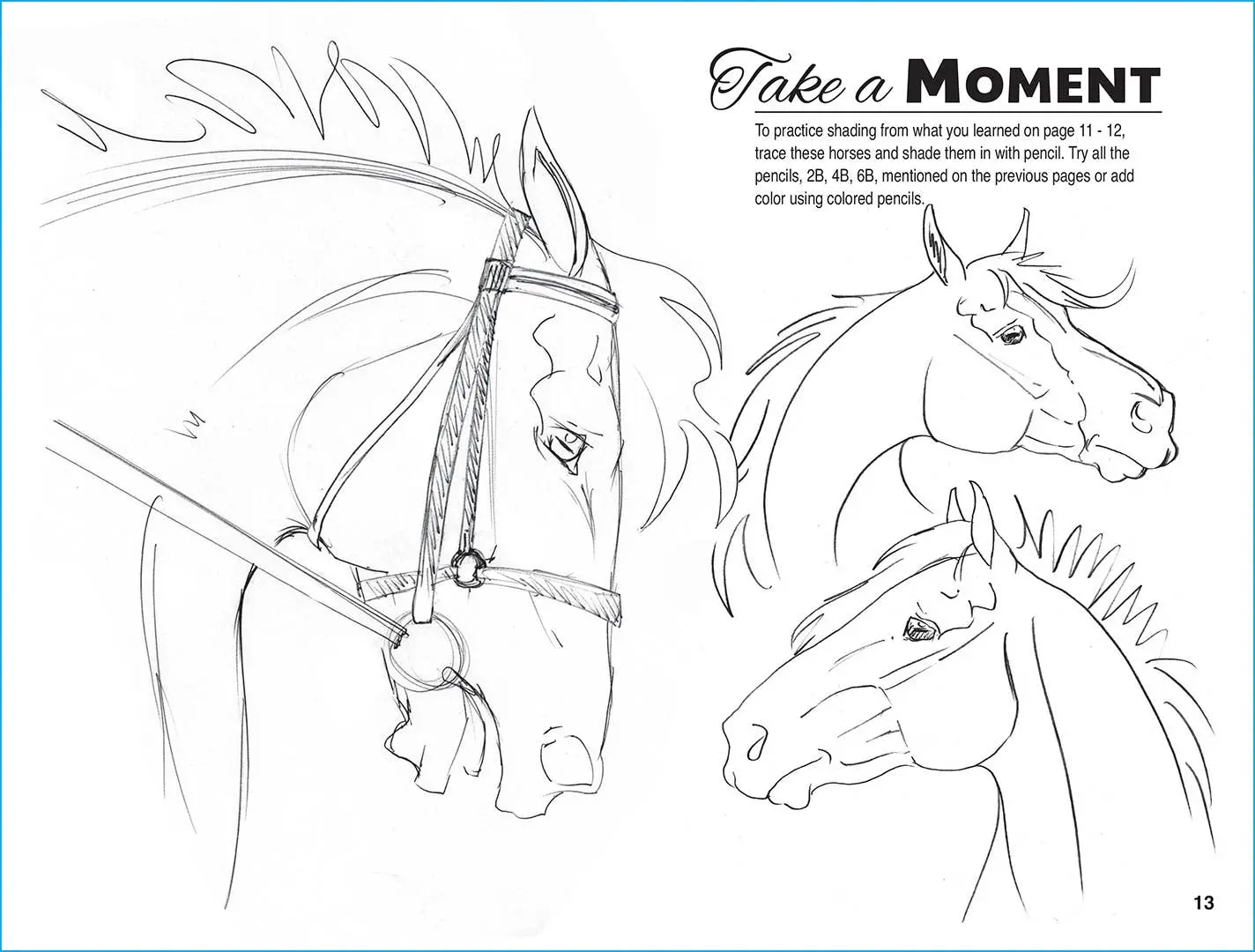 Anyone Can Draw Horses Art Kit - Image 7