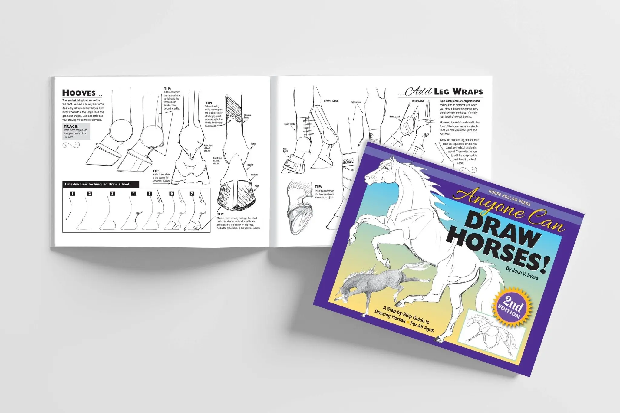 Anyone Can Draw Horses Art Kit - Image 9
