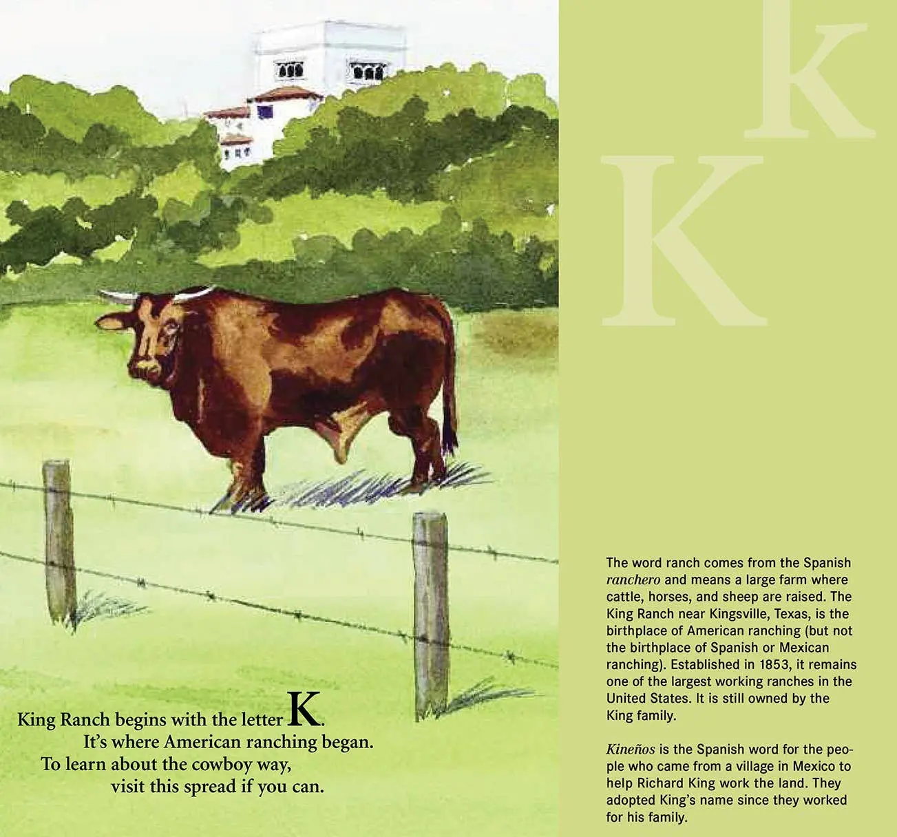 B is for Buckaroo - Image 7