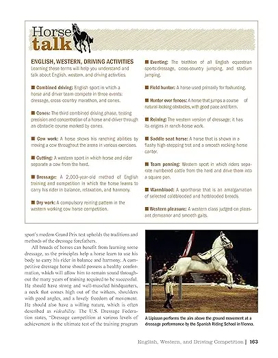 The Original Horse Bible - Image 6