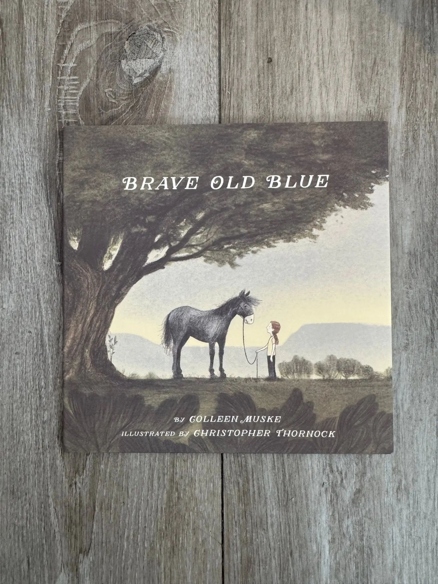 Brave Old Blue: A Horse Rescue Story