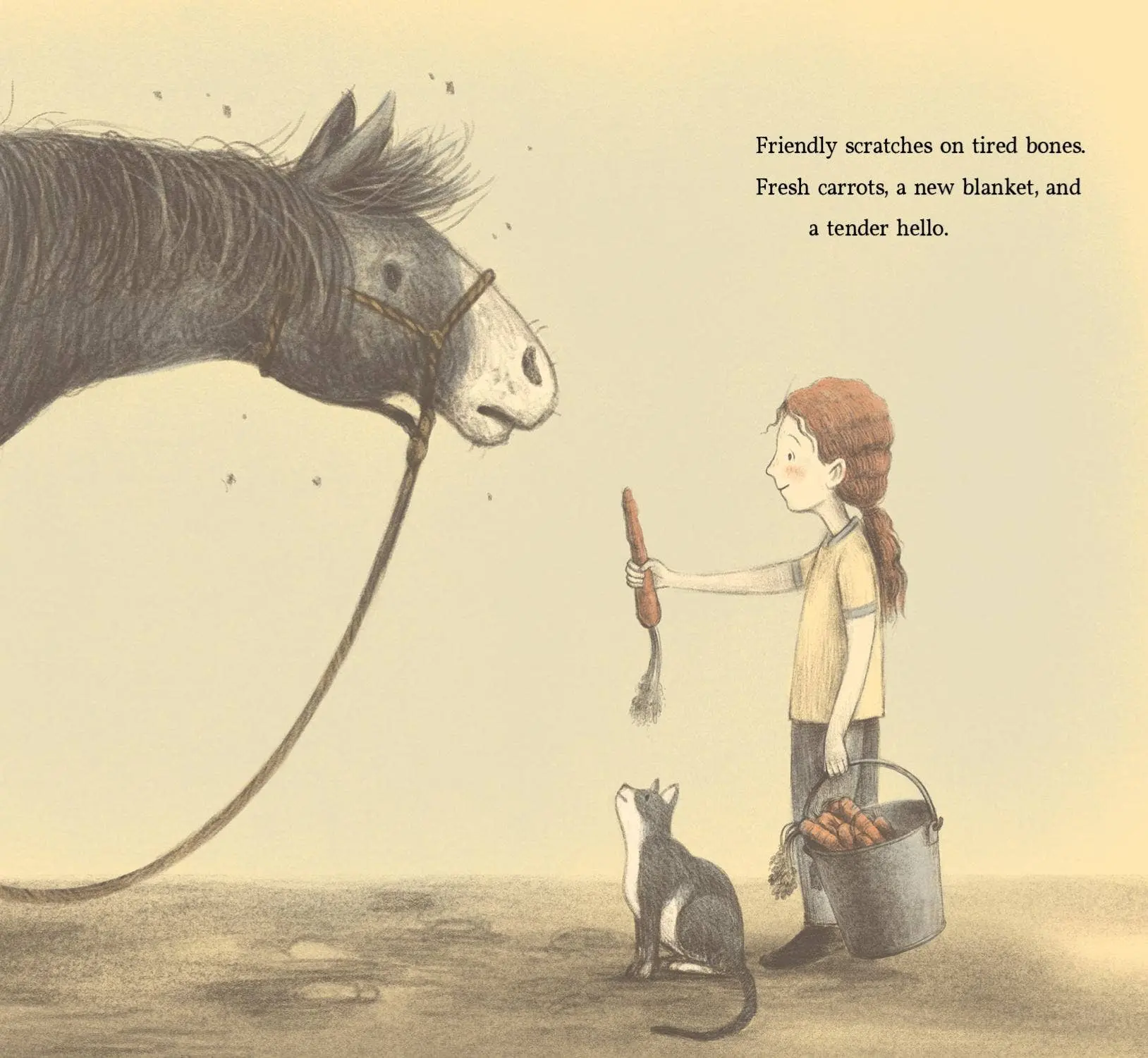 Brave Old Blue: A Horse Rescue Story - Image 5