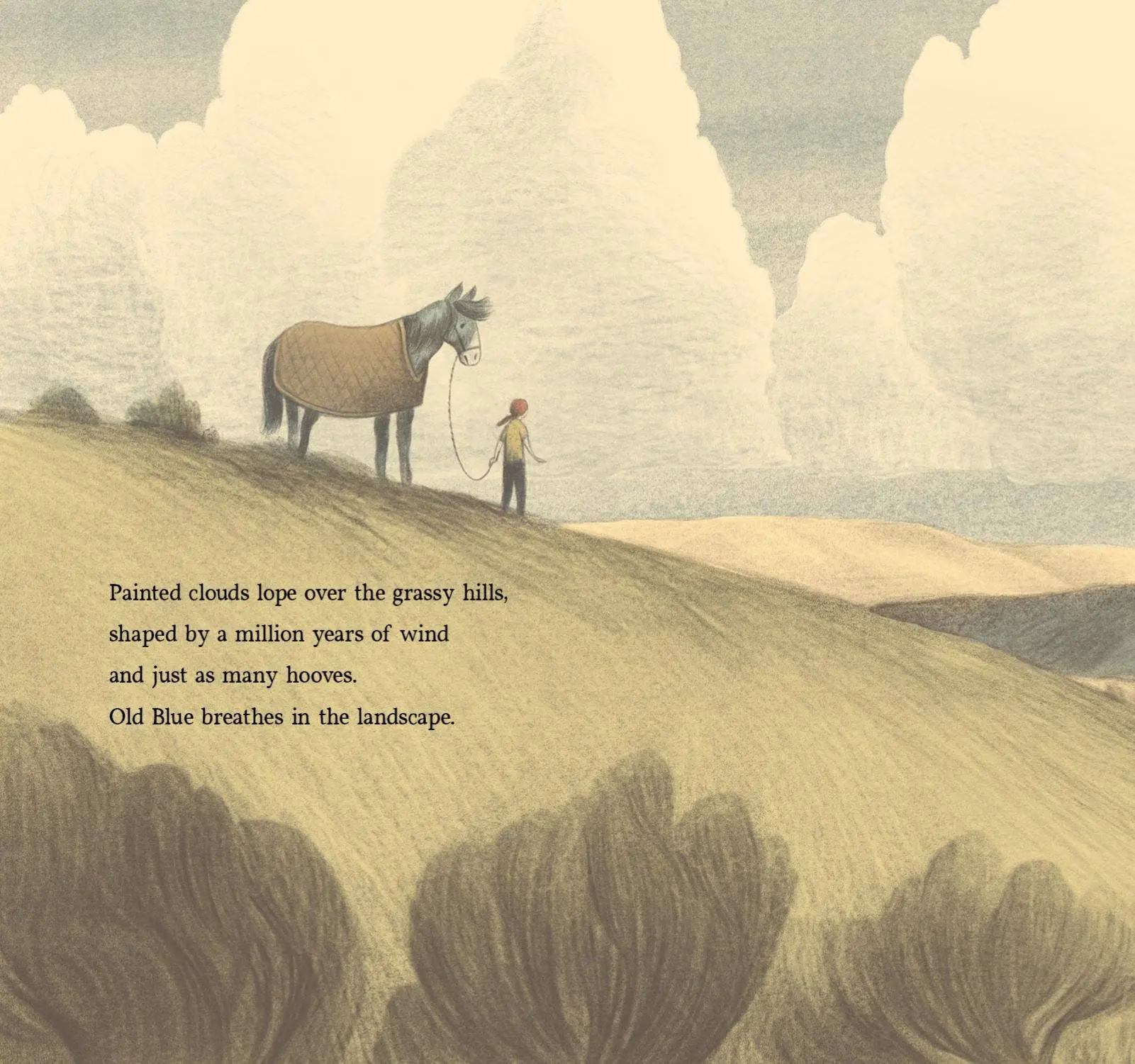 Brave Old Blue: A Horse Rescue Story - Image 6