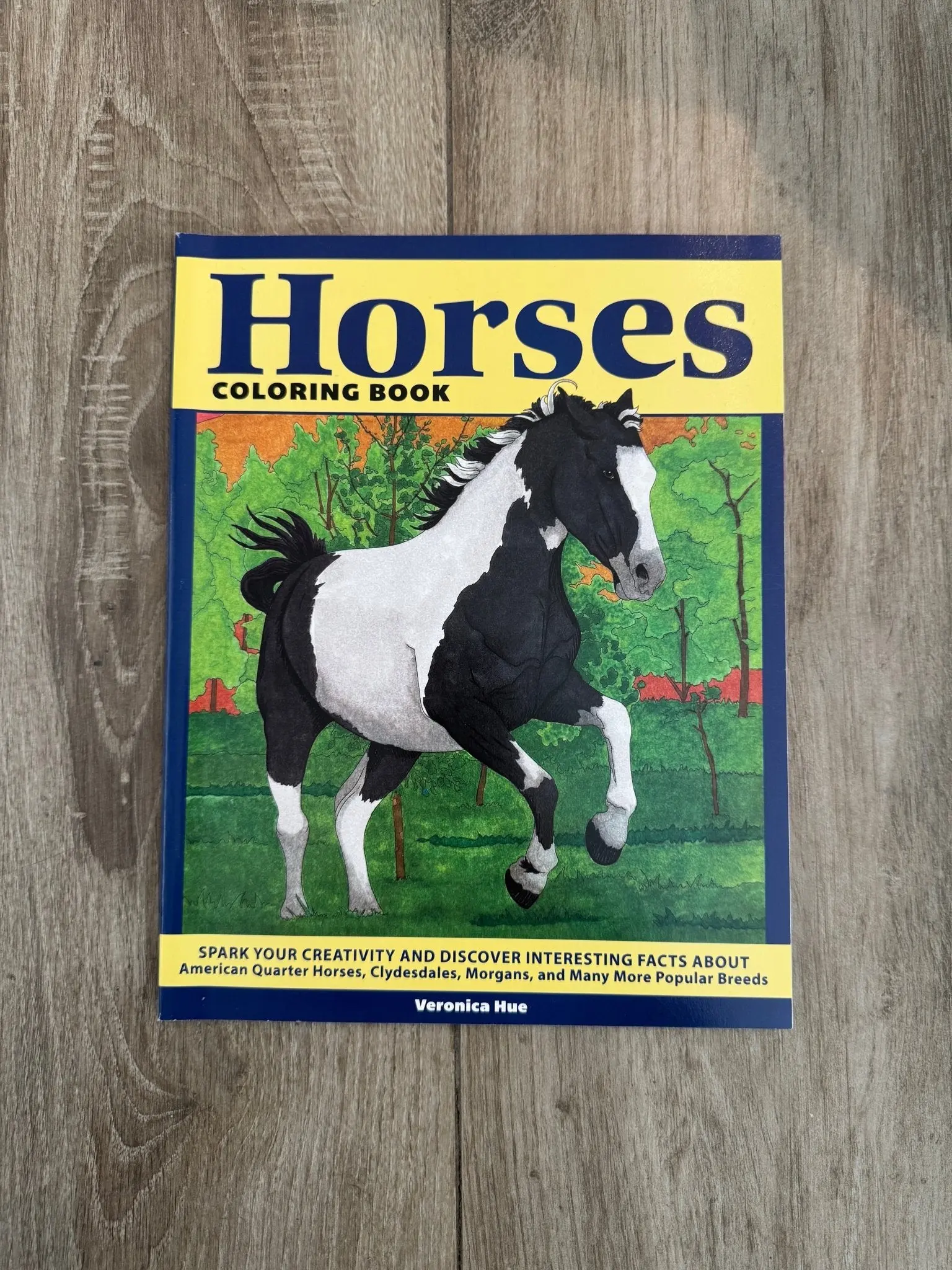 Horses Coloring Book