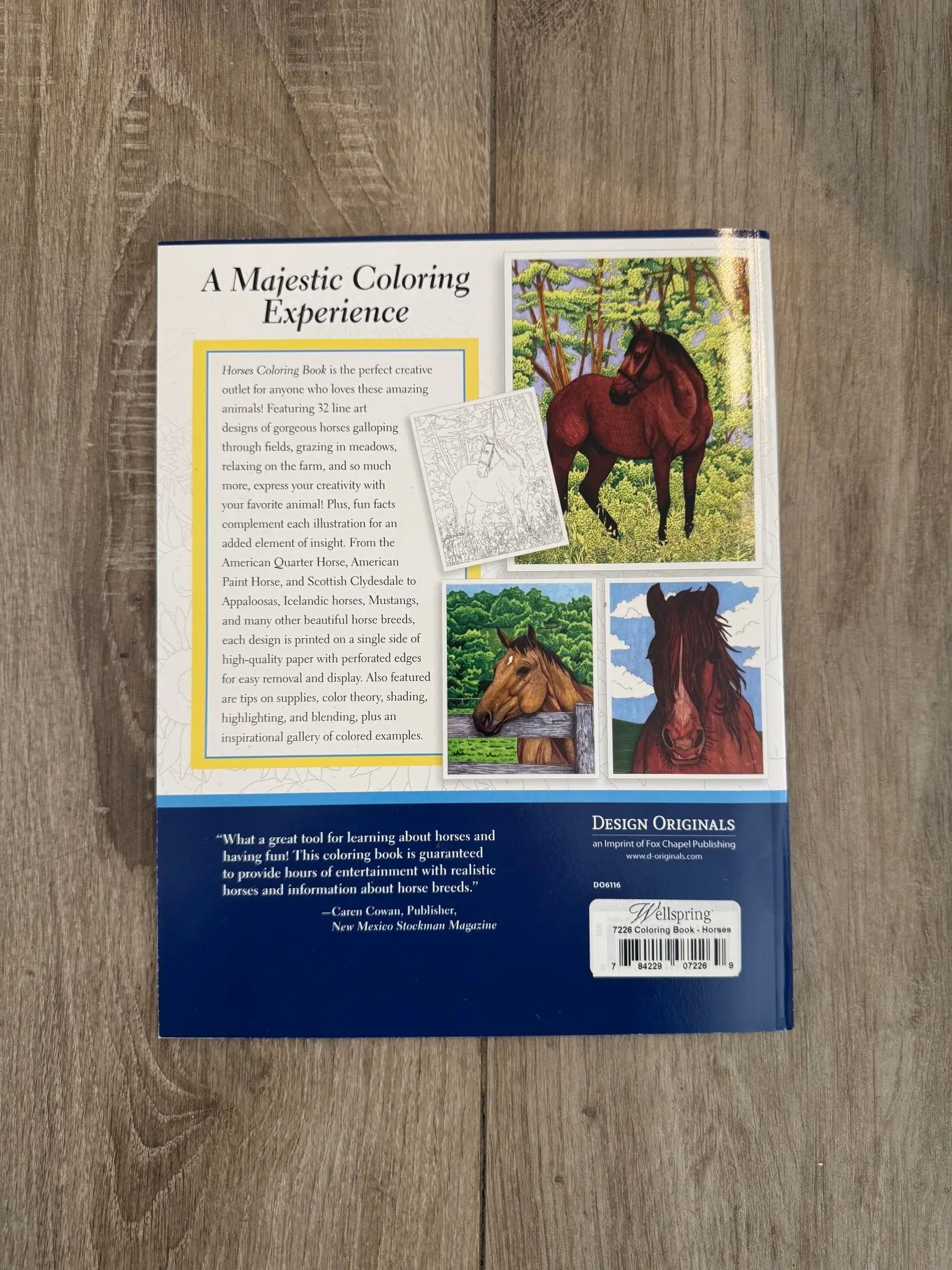 Horses Coloring Book - Image 2