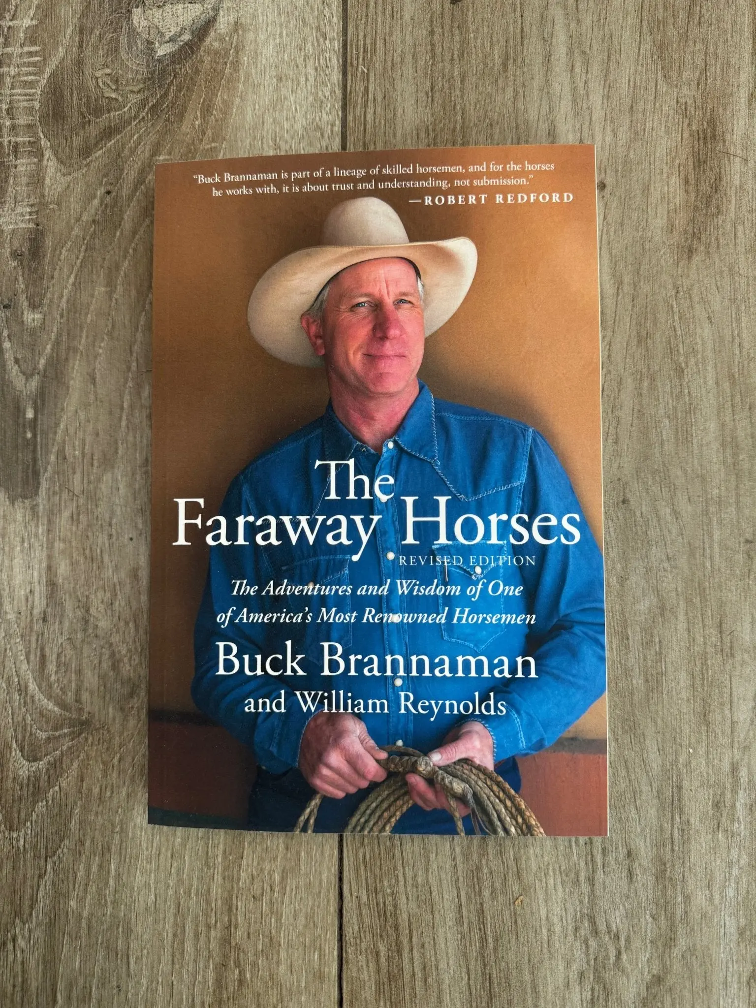 Faraway Horses