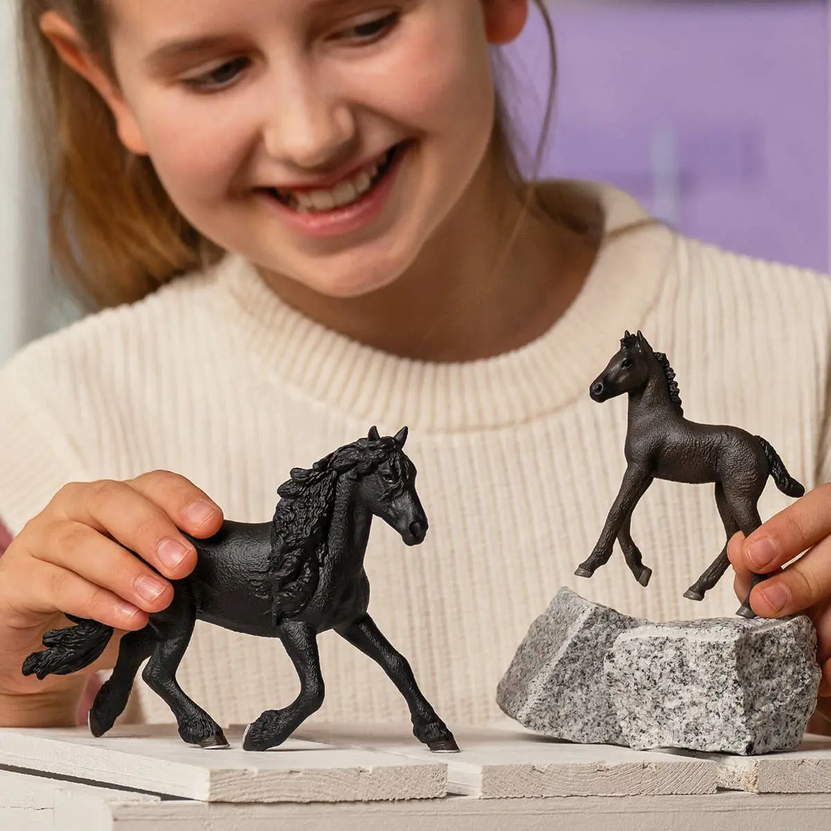 Friesian Stallion - Image 5