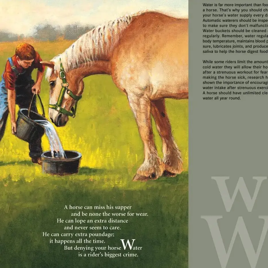 H is for Horse - Image 5