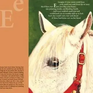 H is for Horse - Image 6