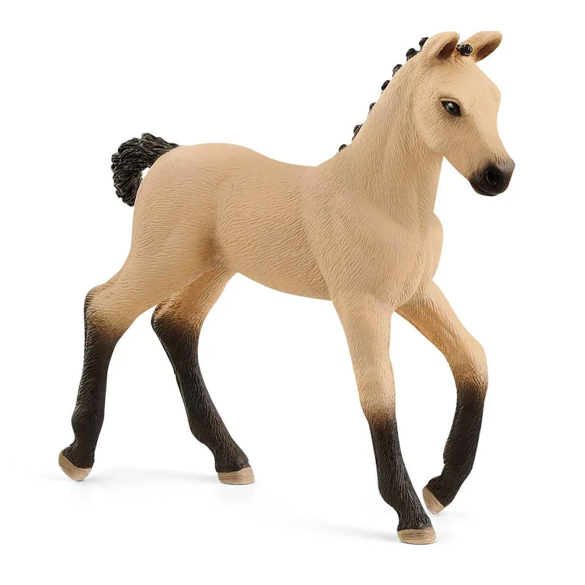 Hannoverian Foal - Image 3