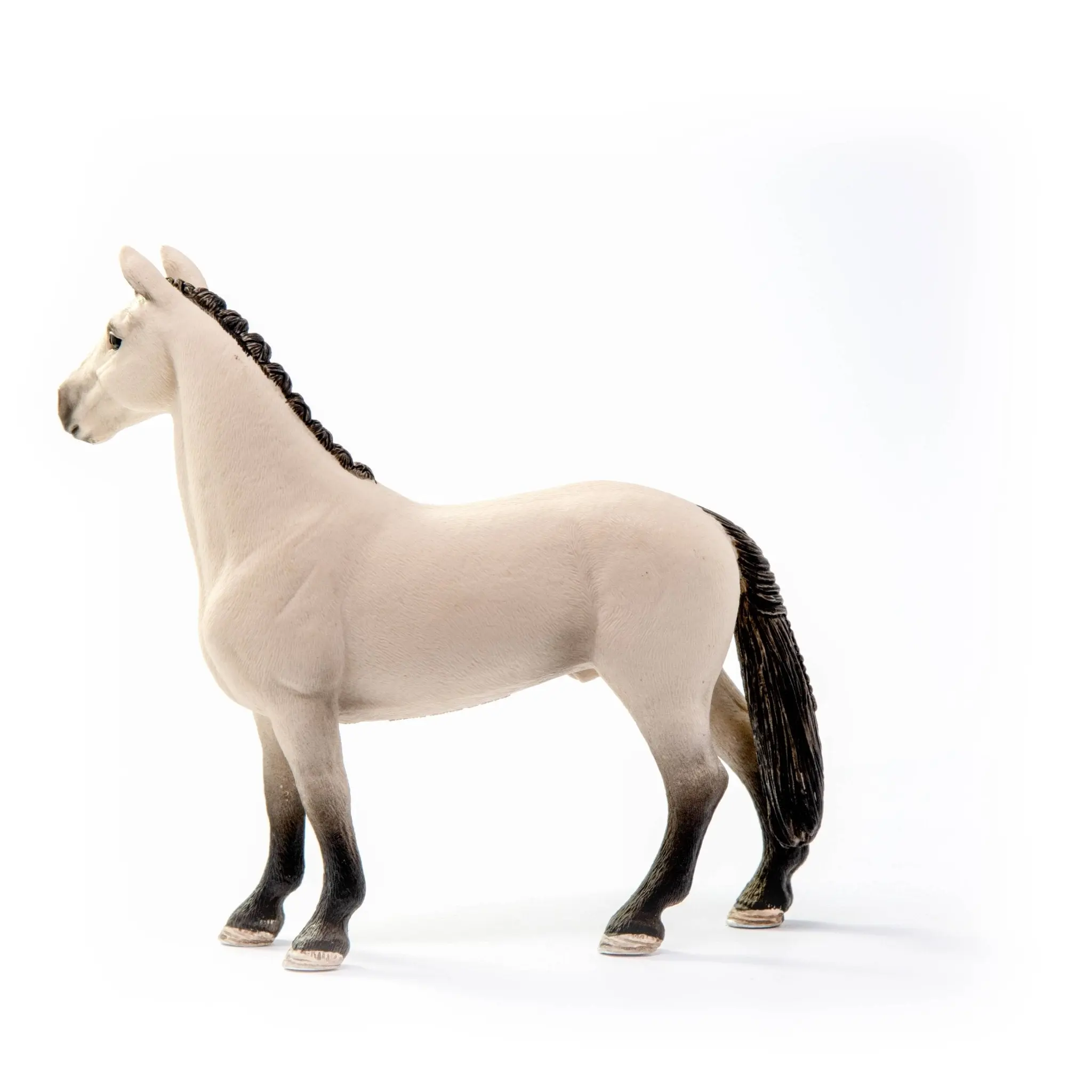 Hannoverian Gelding - Image 3
