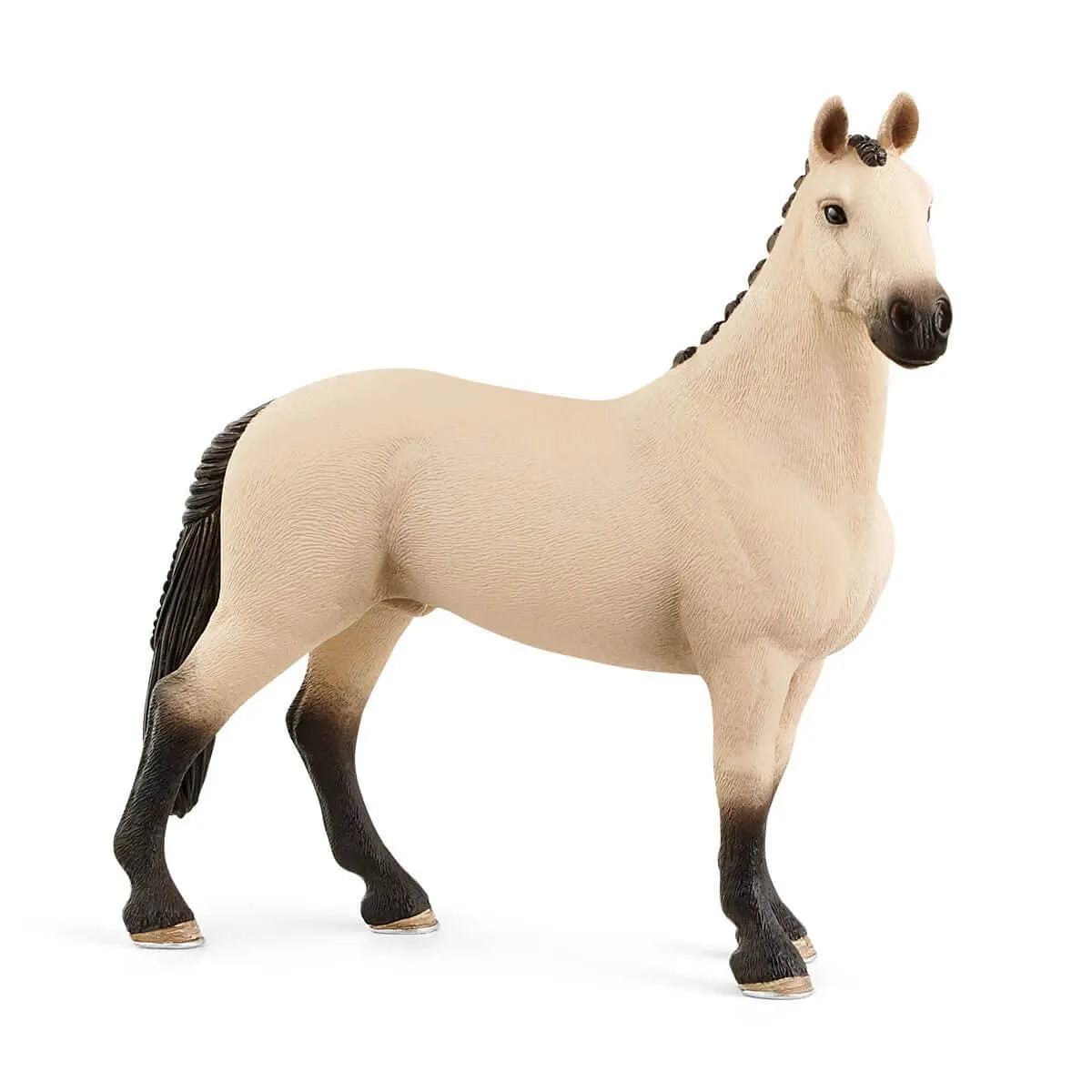 Hannoverian Gelding - Image 4