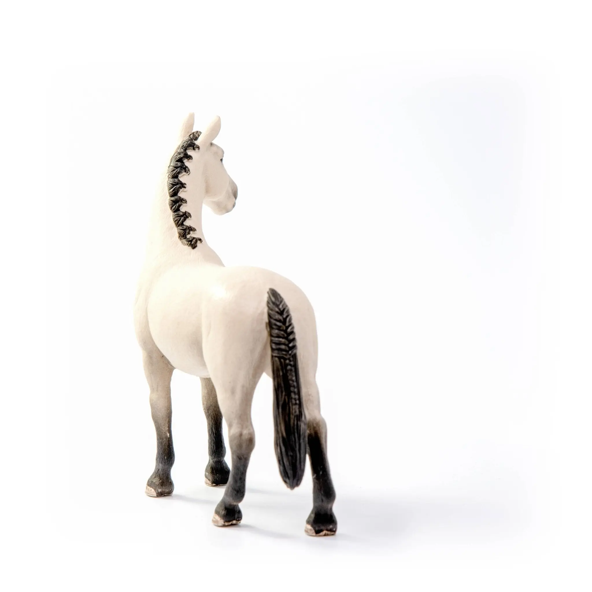 Hannoverian Gelding - Image 5