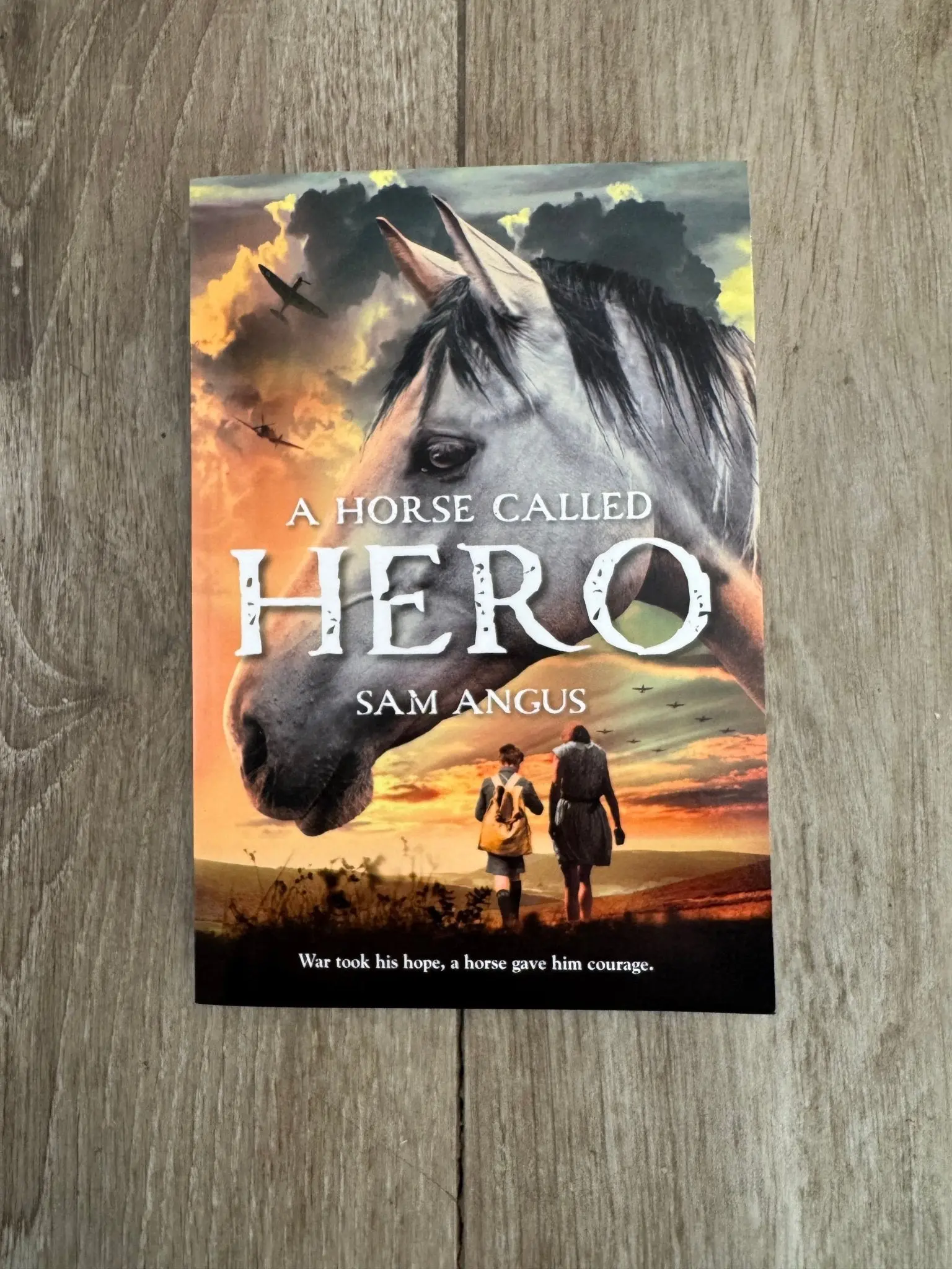 A Horse Called Hero