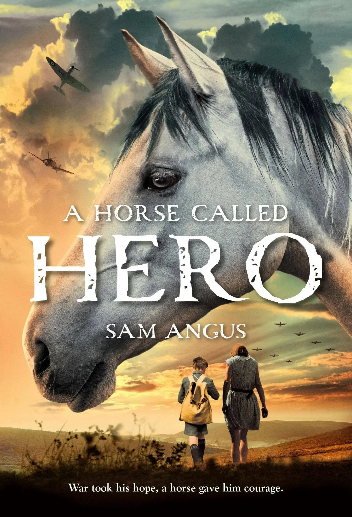 A Horse Called Hero - Image 2