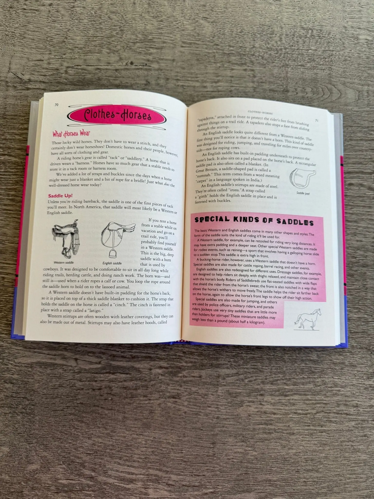 For Horse-Crazy Girls Only - Image 3