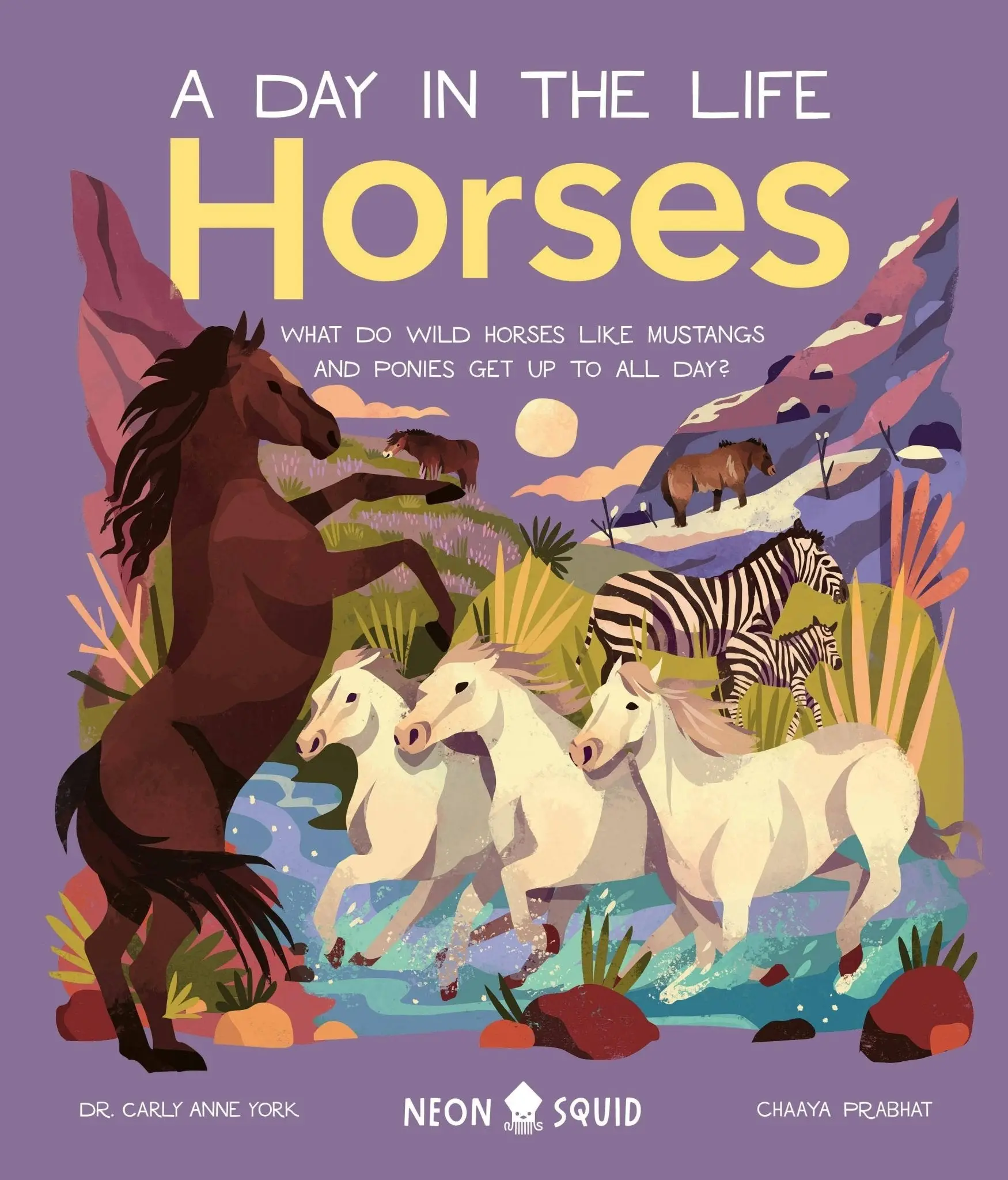 A Day In The Life of Horses - Image 2
