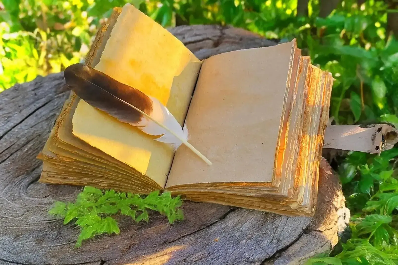 The Painted Horse Journal - Image 5