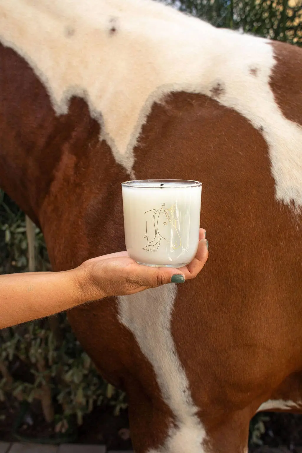 Spirit Horse Soy Wax Candle (10 oz) - Image 6