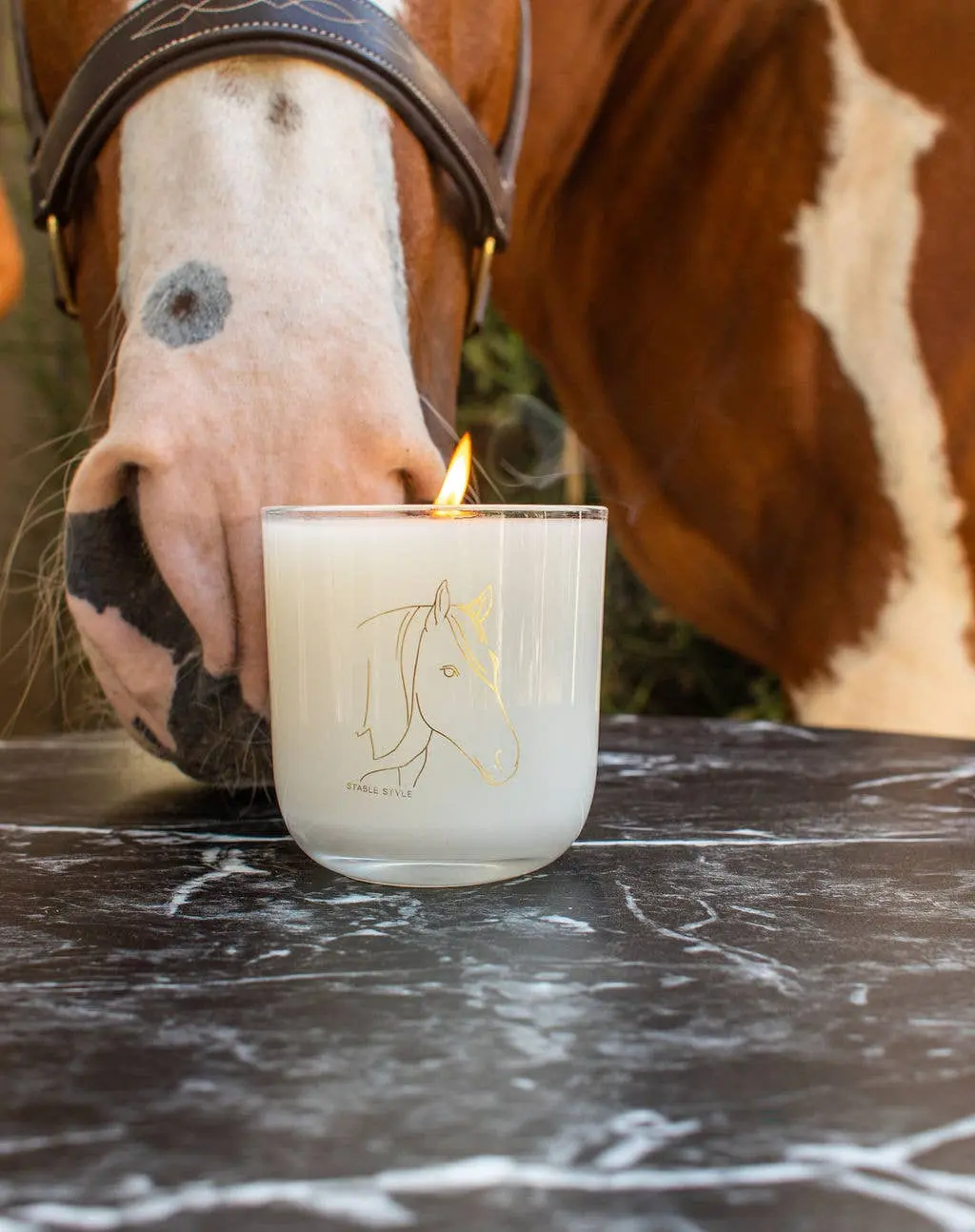 Spirit Horse Soy Wax Candle (10 oz) - Image 8