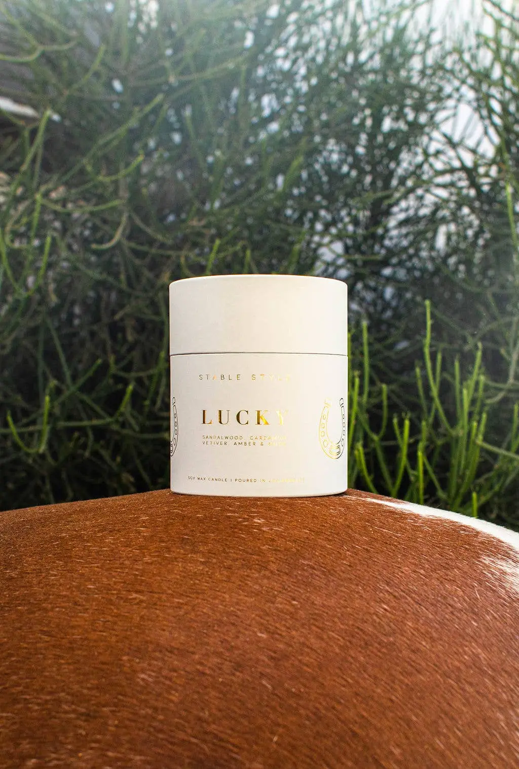 Lucky Horseshoe Soy Wax Candle (10 oz) - Image 6