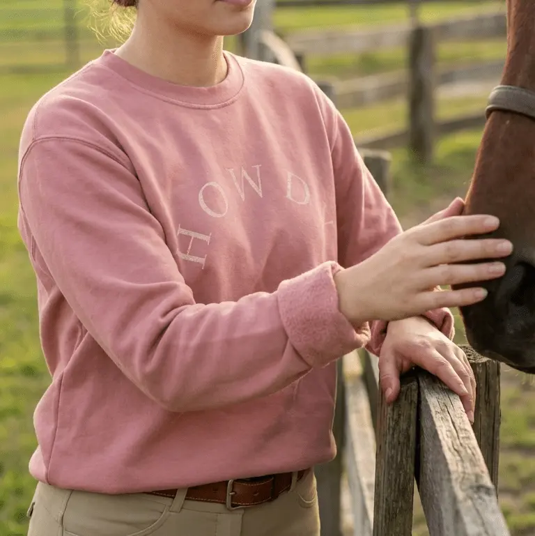 Howdy Pigment-Dyed Sweatshirt (Vintage Rose) - Image 3