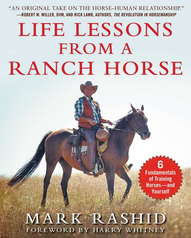 Life lessons From a Ranch Horse - Image 3