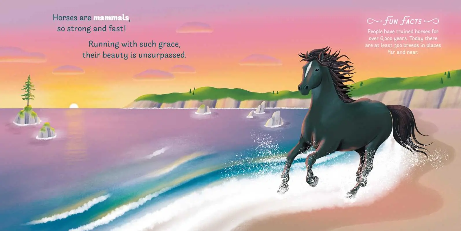 Little Genius Horses - Image 2