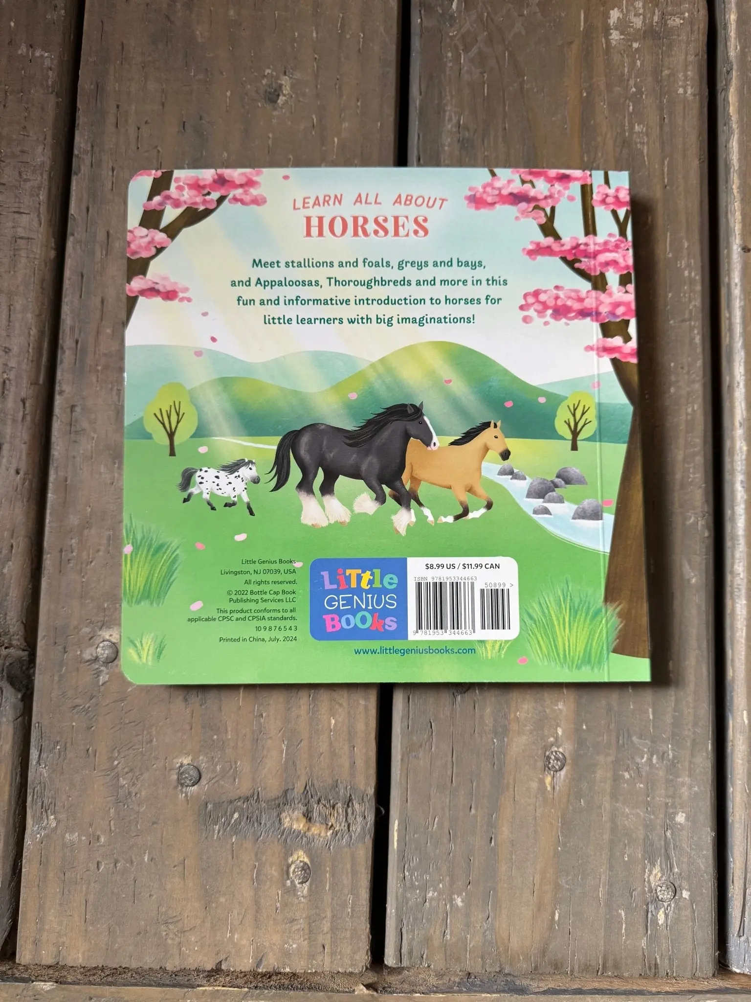 Little Genius Horses - Image 8