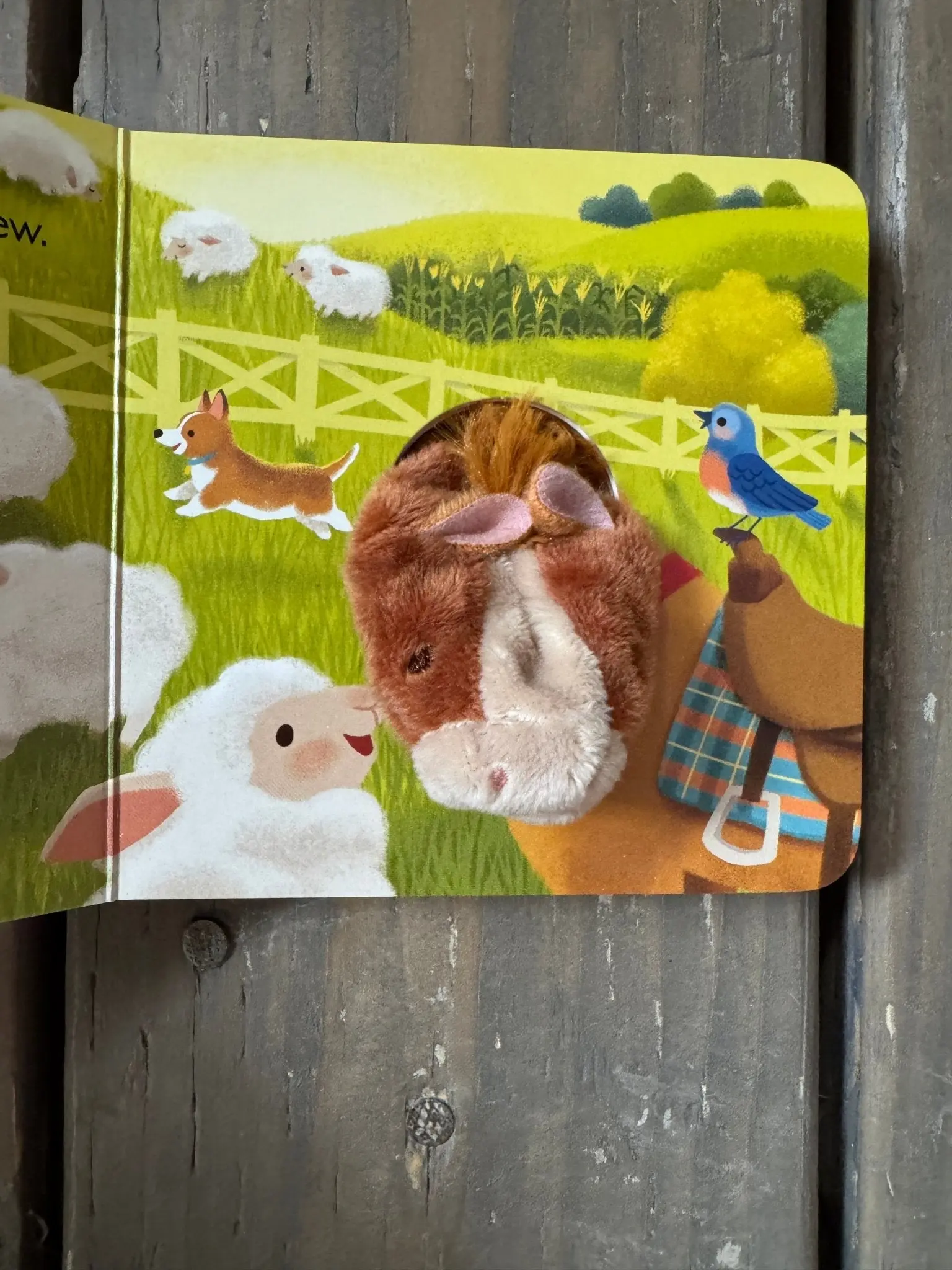"A Little Horse" Puppet Book - Image 6