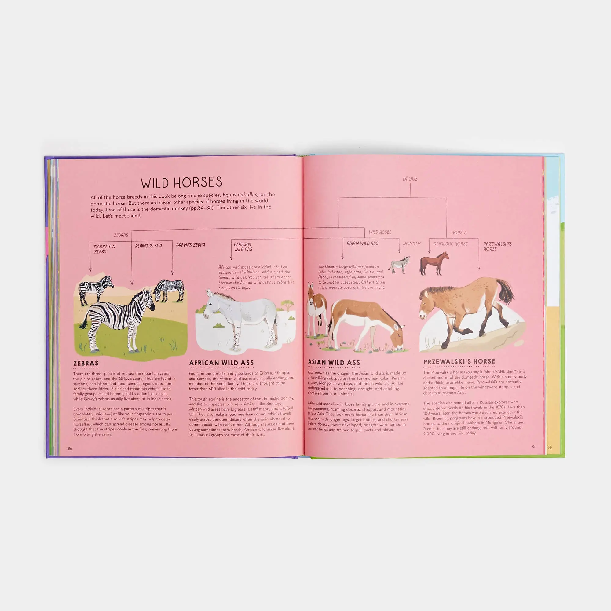 Atlas of Horses and Ponies - Image 7