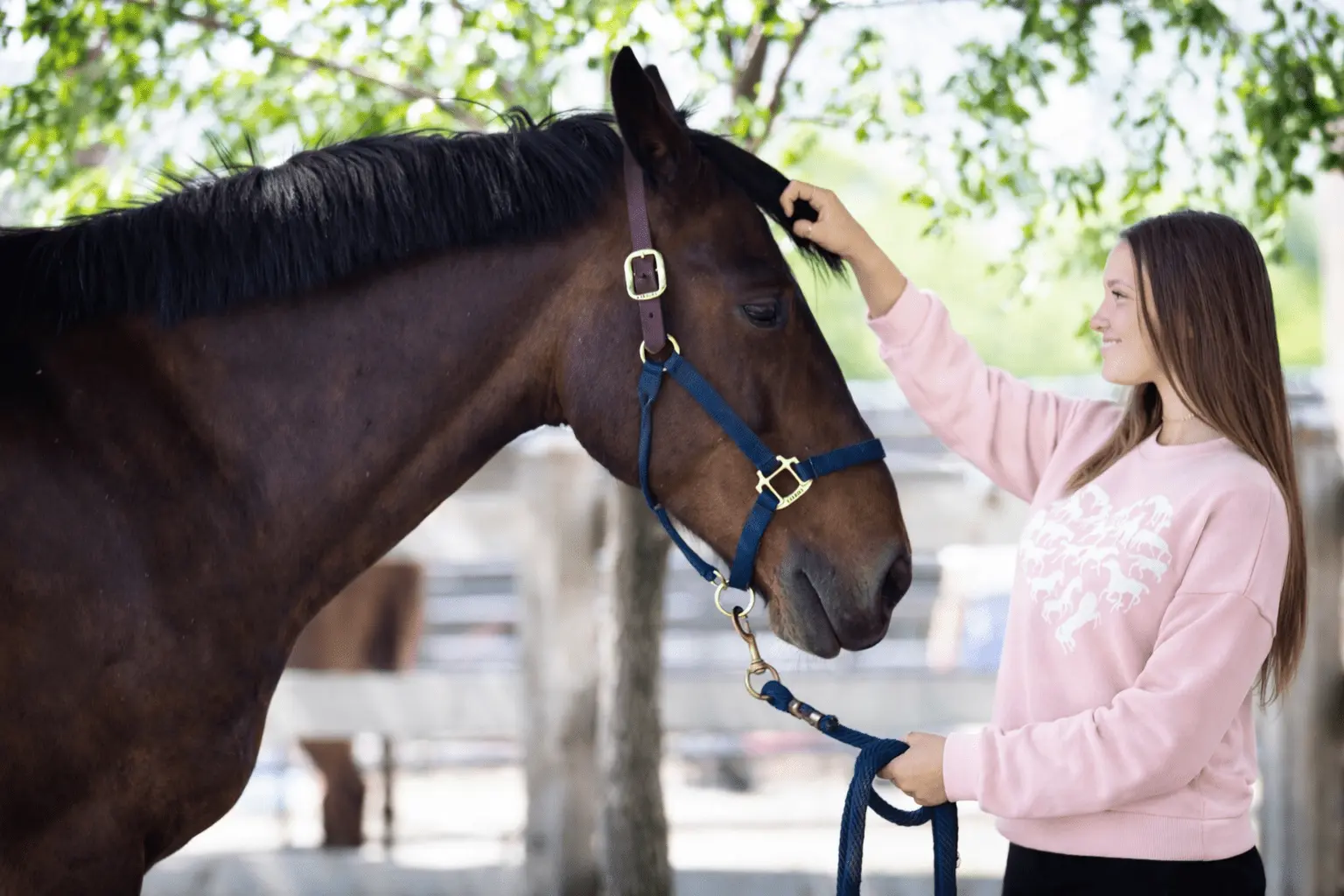 My Love of Horses Sweatshirt - Image 3