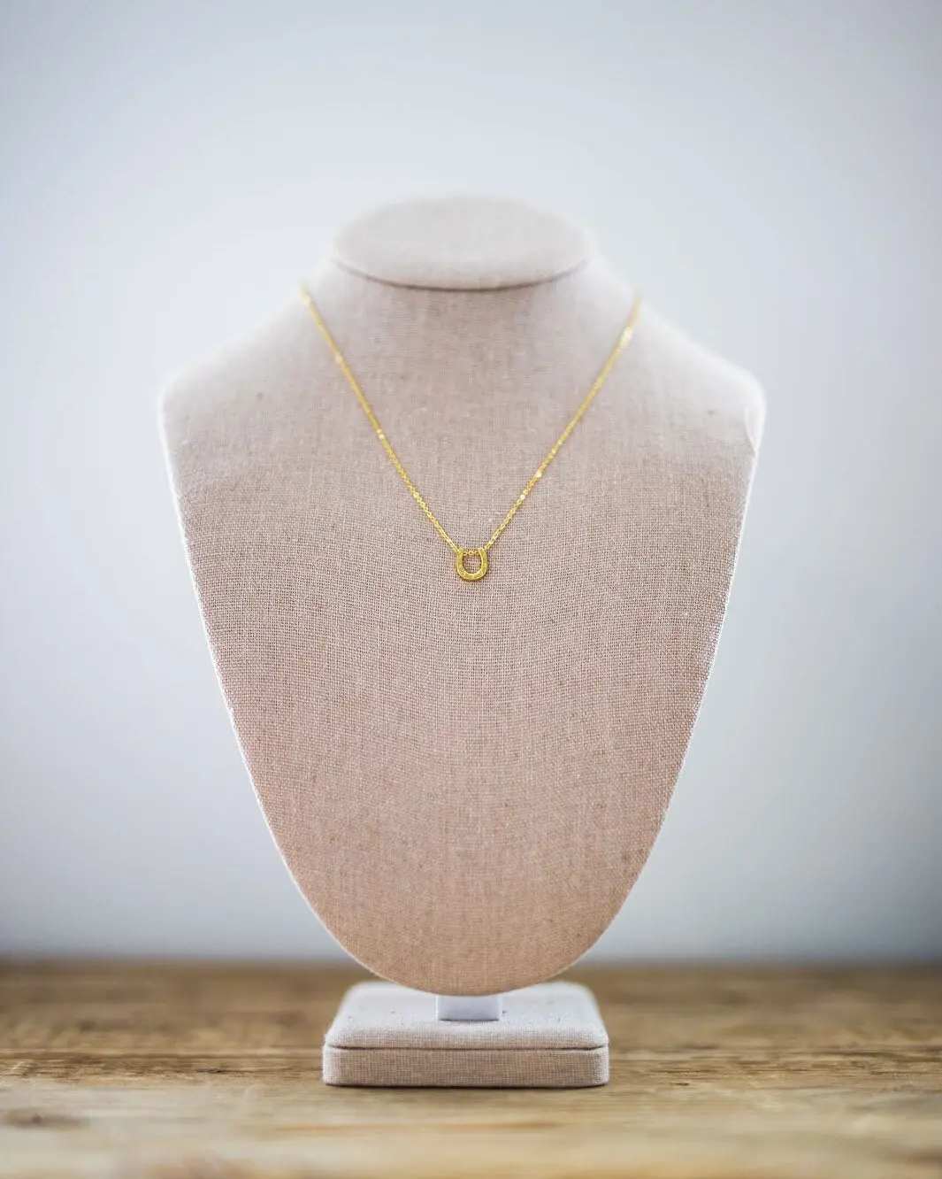 Lucky Horseshoe Necklace - Image 4