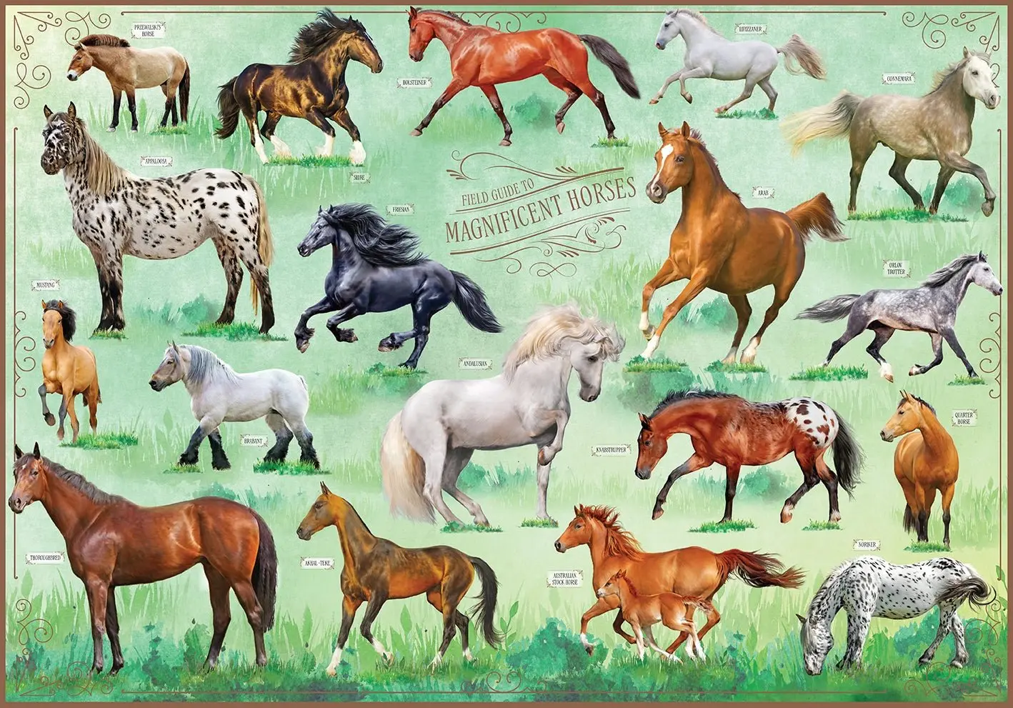 Magnificent Horses Puzzle - Image 4