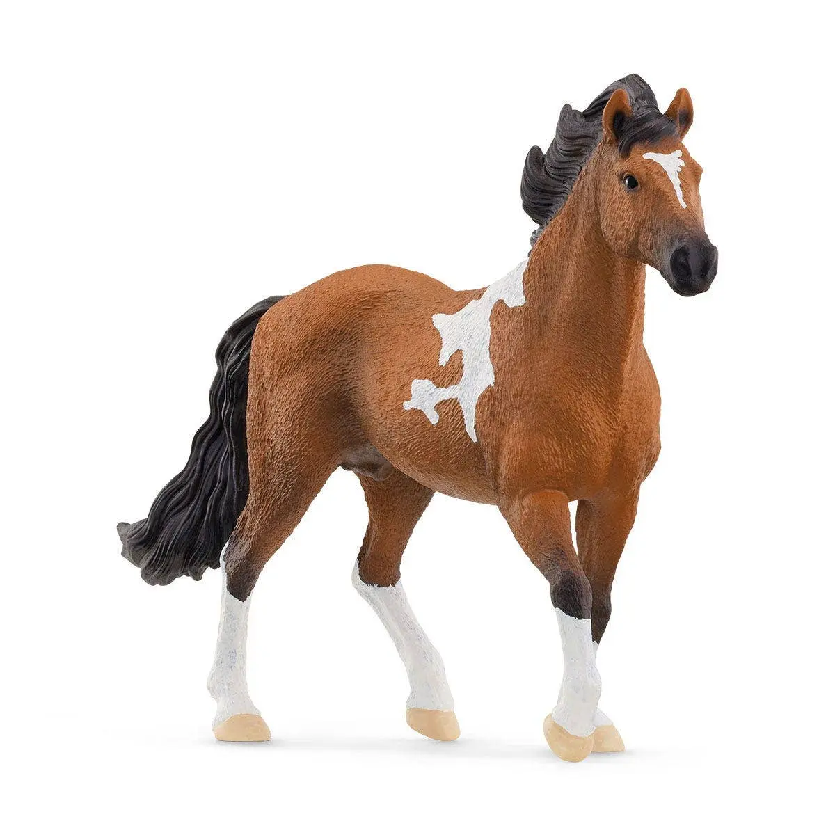 Mangalarga Marchador Horse - Image 3