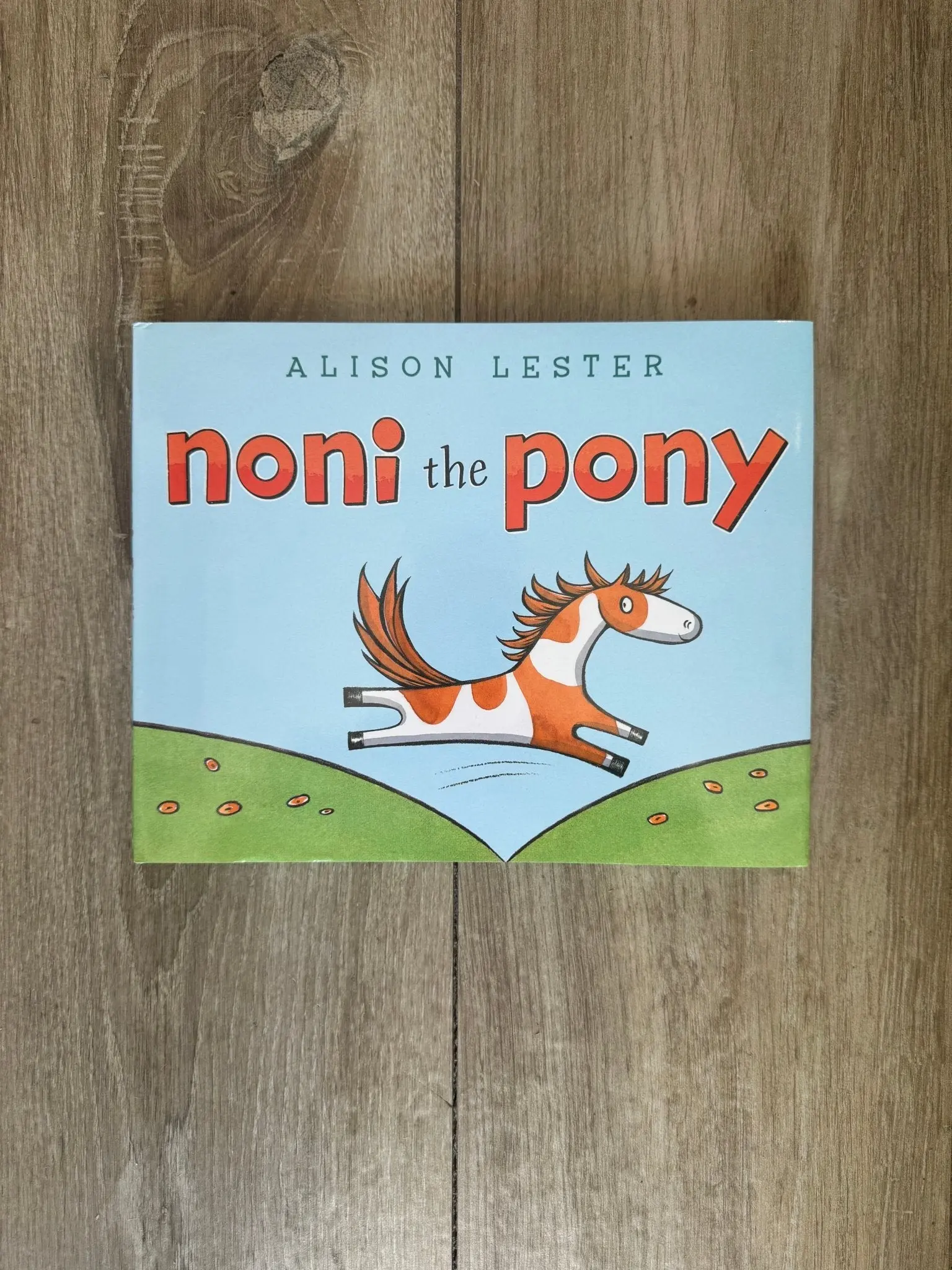 Noni the Pony