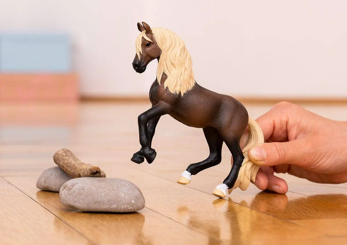Peruvian Paso Stallion - Image 2