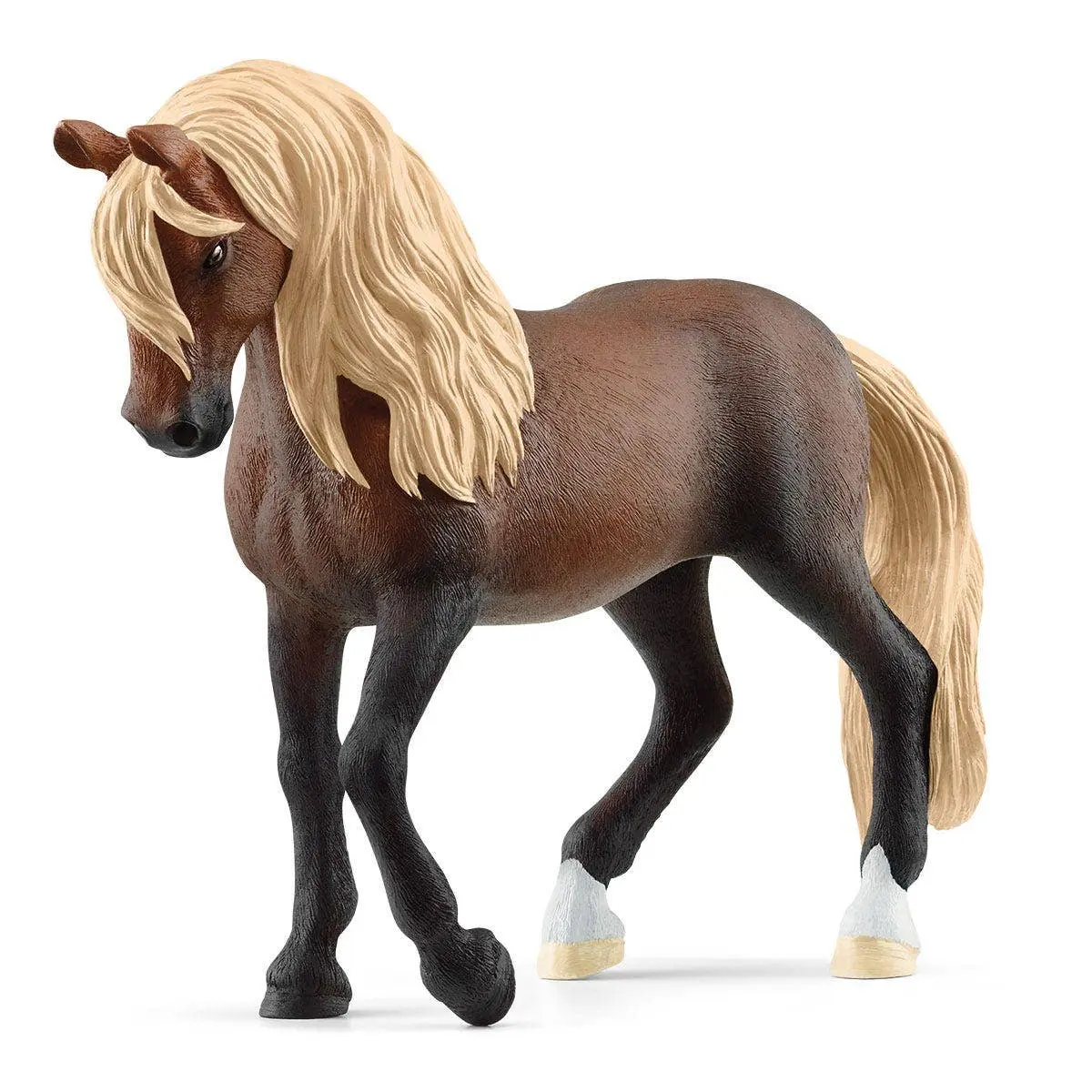 Peruvian Paso Stallion - Image 4