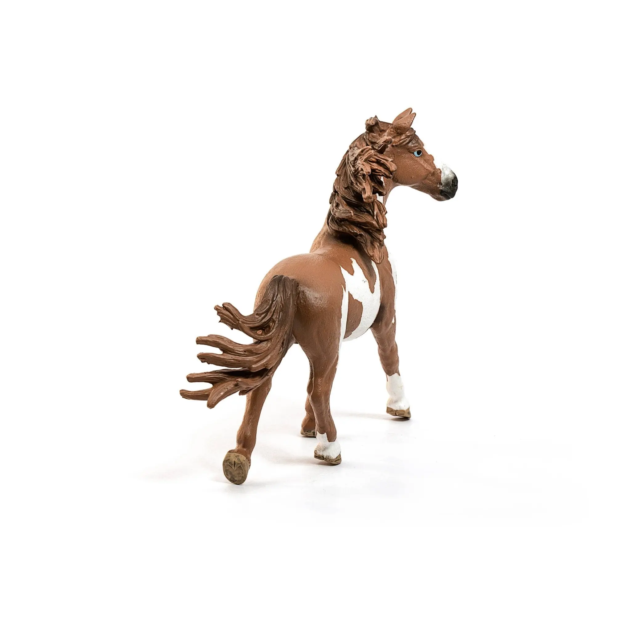 Pinto Stallion - Image 3