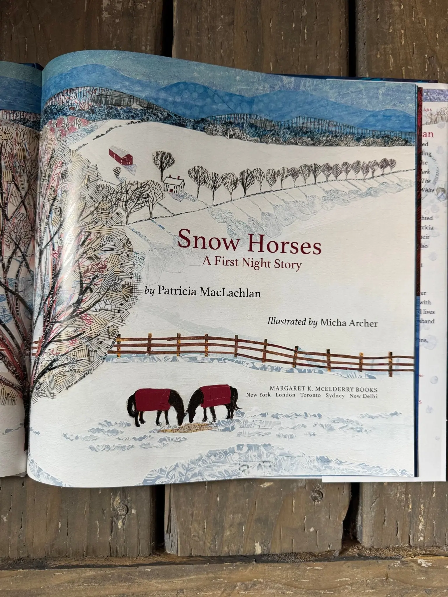 Snow Horses: A First Night Story - Image 6