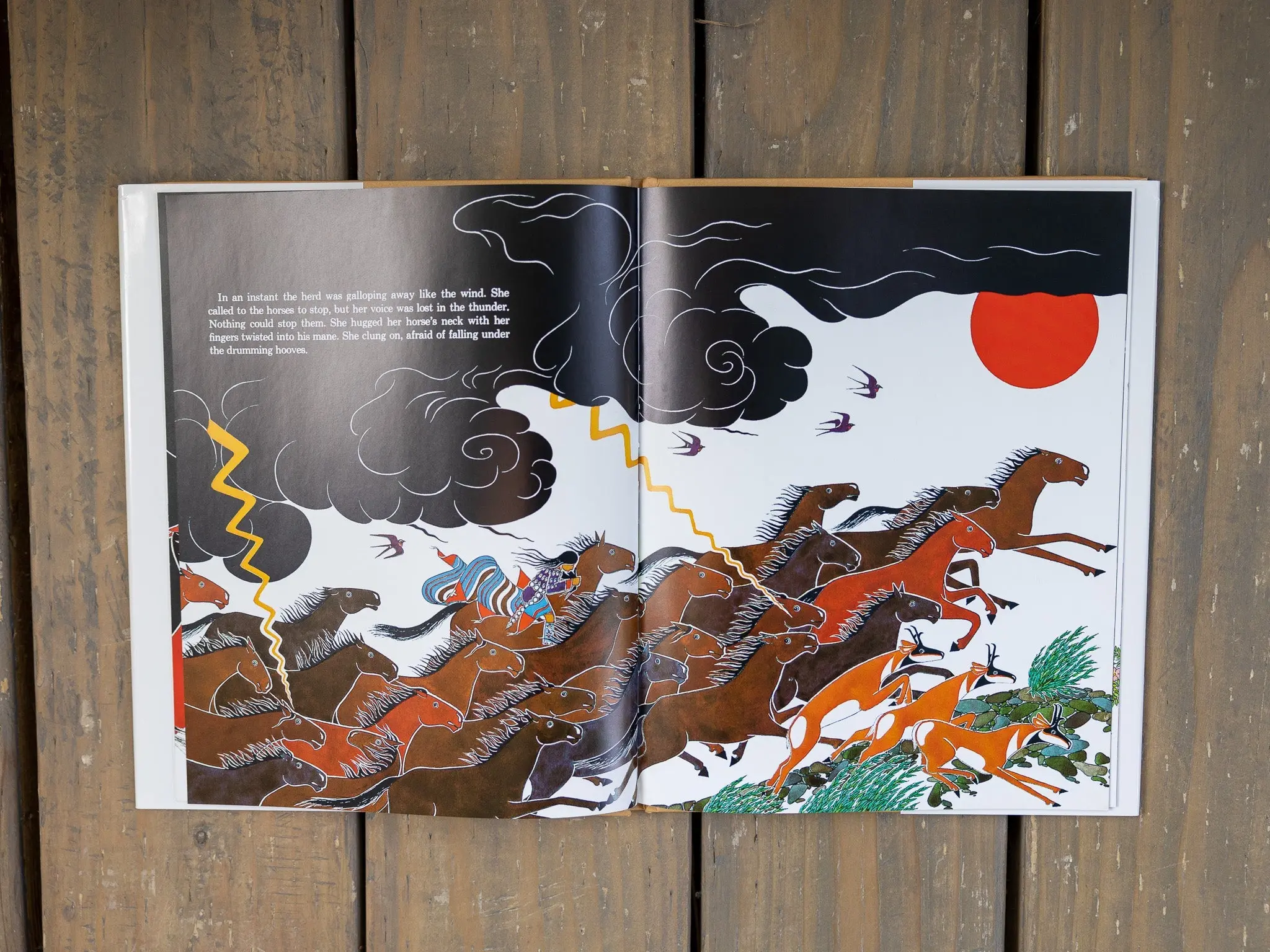 The Girl Who Loved Wild Horses - Image 3
