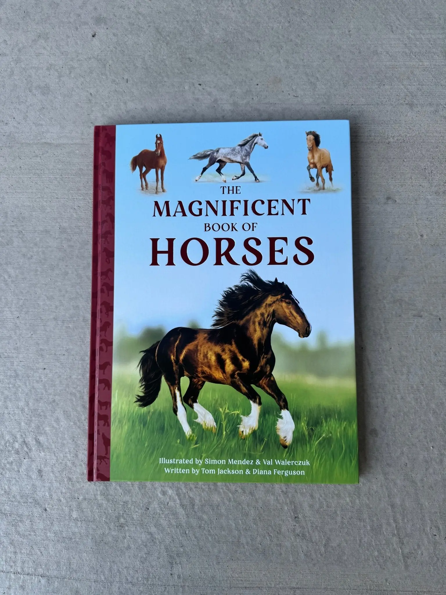 Magnificent Book of Horses