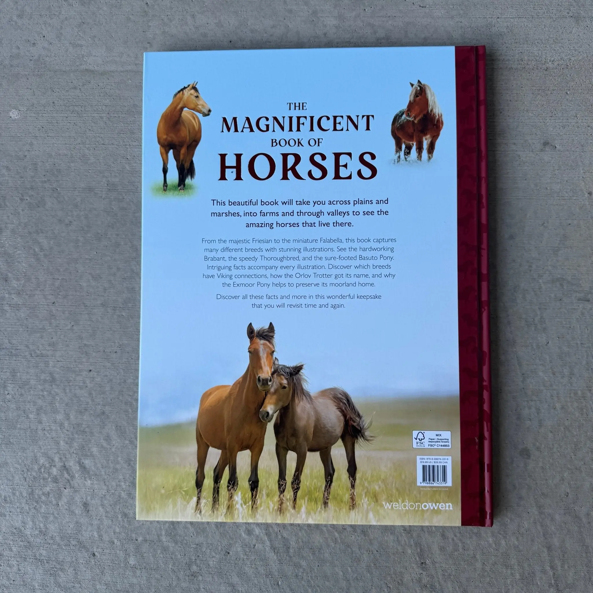 Magnificent Book of Horses - Image 3