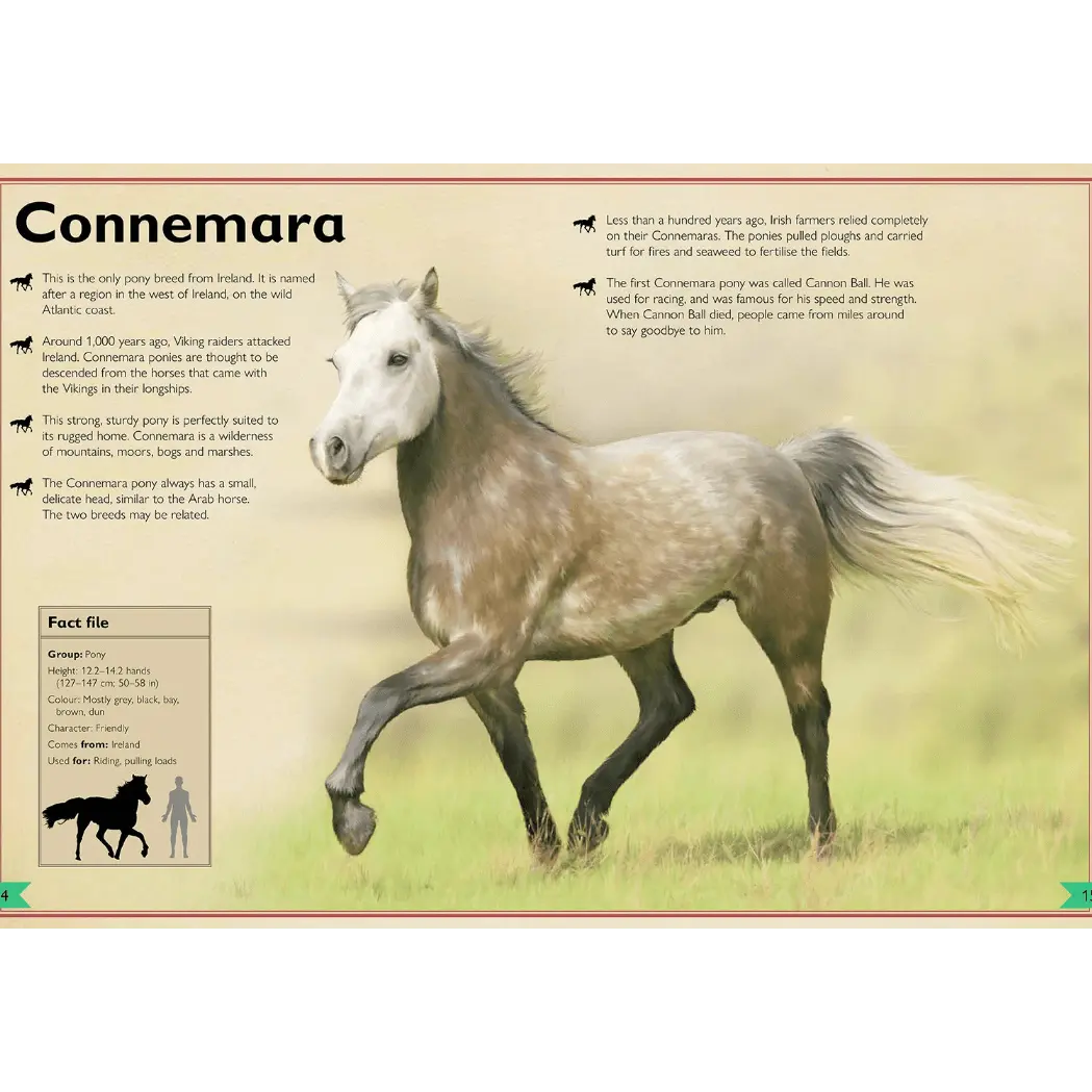 Magnificent Book of Horses - Image 4